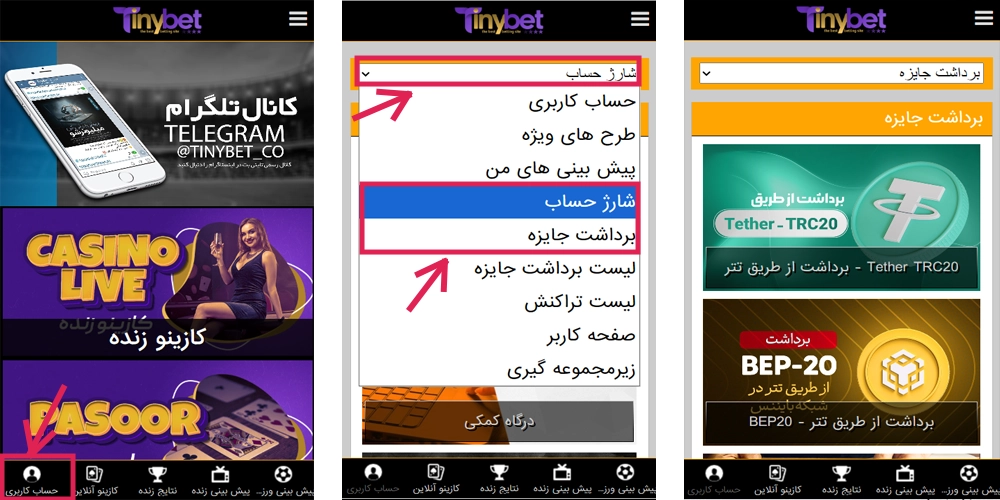 معرفی بخش های مختلف اپلیکیشن tinybet